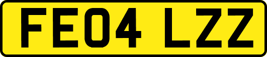 FE04LZZ