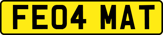 FE04MAT