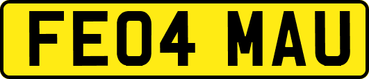 FE04MAU