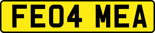 FE04MEA