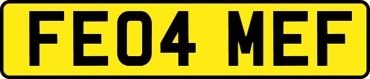FE04MEF