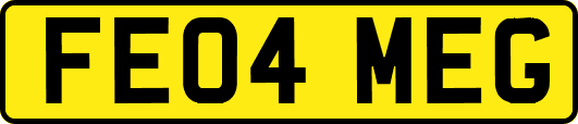 FE04MEG