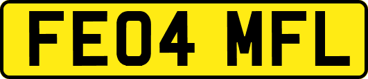 FE04MFL