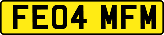 FE04MFM
