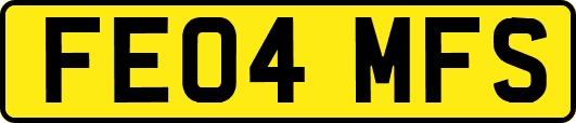 FE04MFS