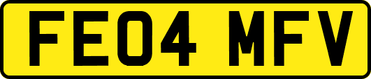 FE04MFV