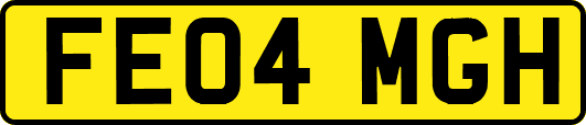 FE04MGH
