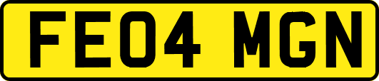 FE04MGN