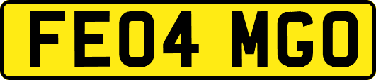 FE04MGO