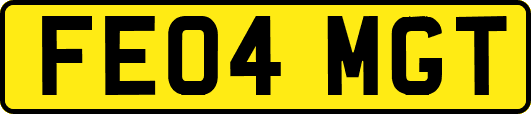FE04MGT