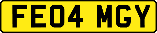 FE04MGY