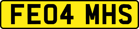 FE04MHS