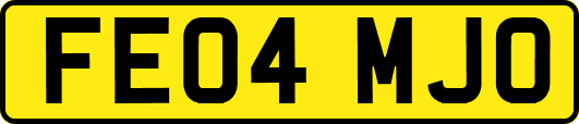 FE04MJO