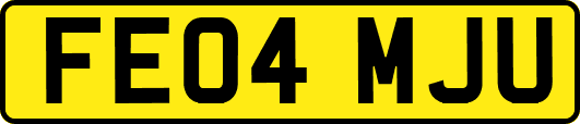 FE04MJU