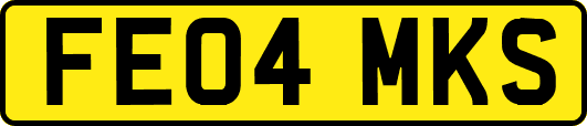 FE04MKS