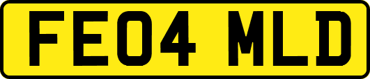 FE04MLD