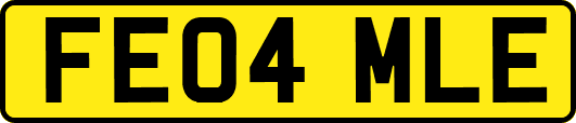 FE04MLE