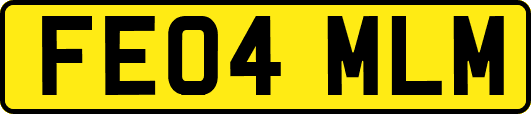 FE04MLM