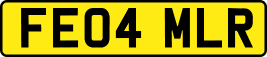 FE04MLR