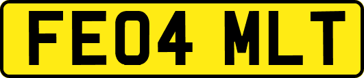 FE04MLT