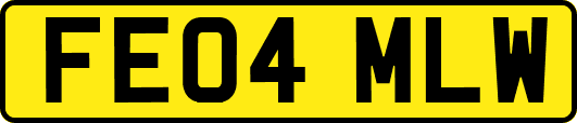 FE04MLW