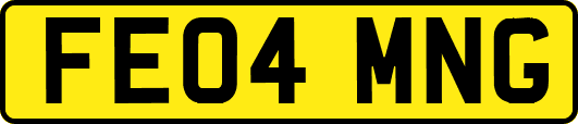 FE04MNG