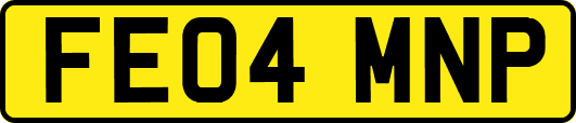 FE04MNP