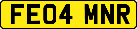 FE04MNR