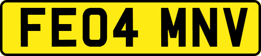 FE04MNV