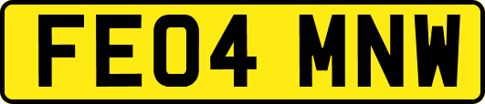 FE04MNW