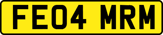 FE04MRM