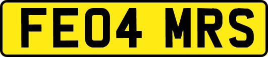 FE04MRS