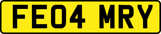 FE04MRY