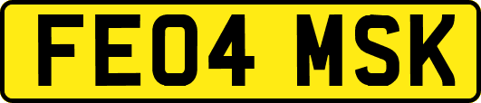 FE04MSK