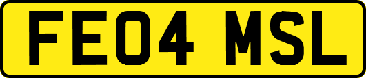 FE04MSL