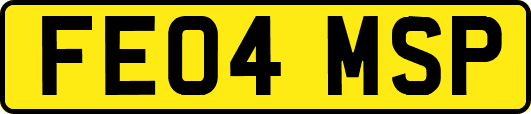 FE04MSP