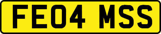 FE04MSS