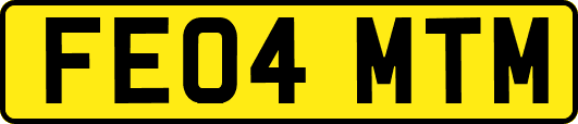 FE04MTM