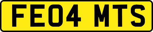 FE04MTS