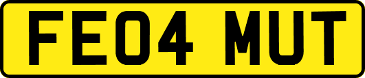 FE04MUT