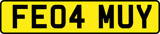 FE04MUY
