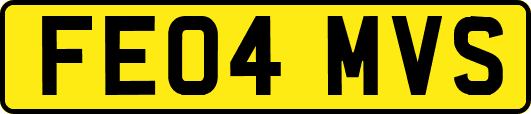 FE04MVS