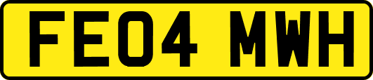 FE04MWH