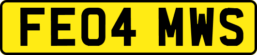 FE04MWS