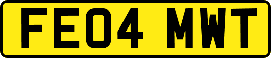 FE04MWT