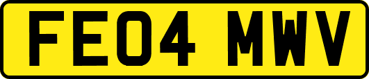 FE04MWV