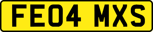 FE04MXS