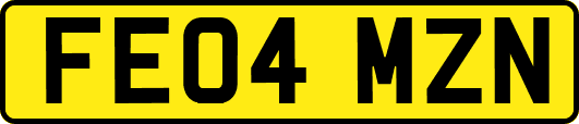 FE04MZN
