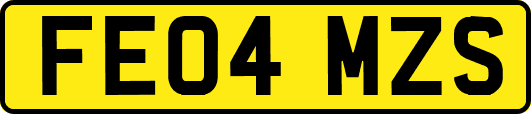 FE04MZS