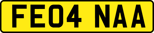 FE04NAA